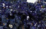 Sparkling Azurite Crystal Cluster - Laos #56057-1